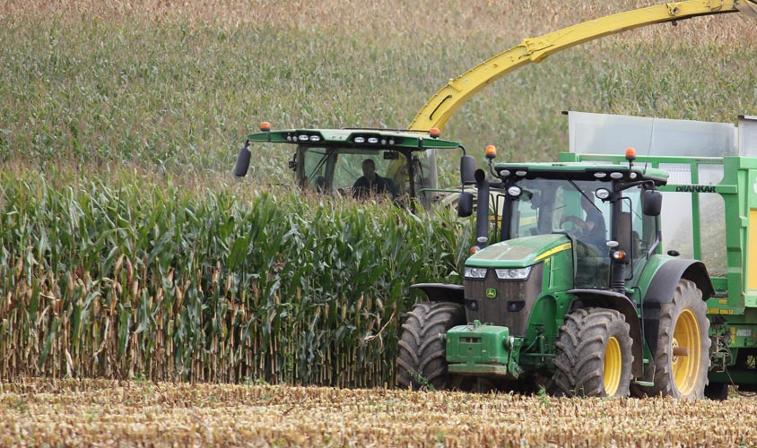 Le conservateur d’ensilage maïs : à quoi ça sert 